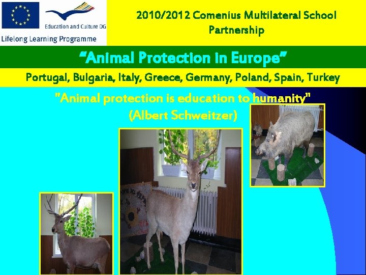 2010/2012 Comenius Multilateral School Partnership “Animal Protection in Europe” Portugal, Bulgaria, Italy, Greece, Germany,