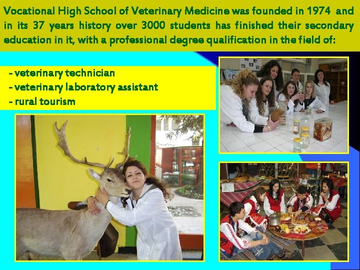 Vocational High School of Veterinary Medicine was founded in 1974 and in its 37