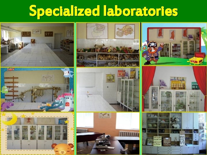 Specialized laboratories 