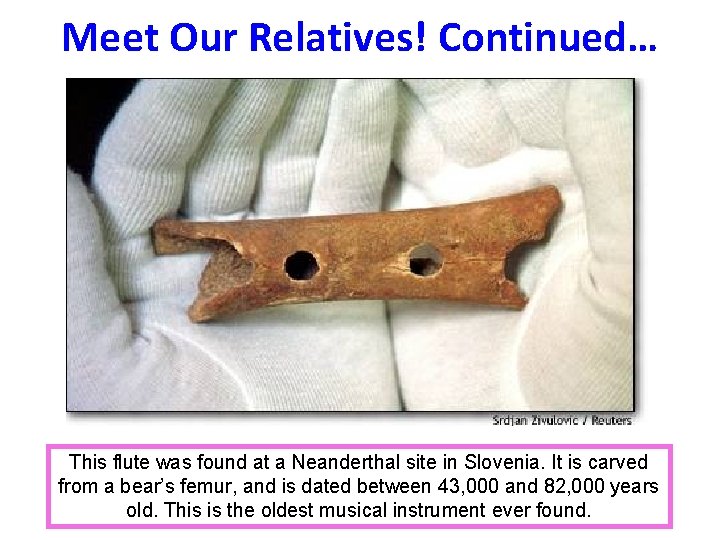 Meet Our Relatives! Continued… This flute was found at a Neanderthal site in Slovenia. Meet Our Relatives! Continued… This flute was found at a Neanderthal site in Slovenia.