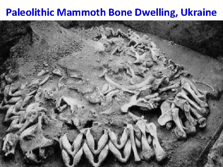 Paleolithic Mammoth Bone Dwelling, Ukraine Paleolithic Mammoth Bone Dwelling, Ukraine