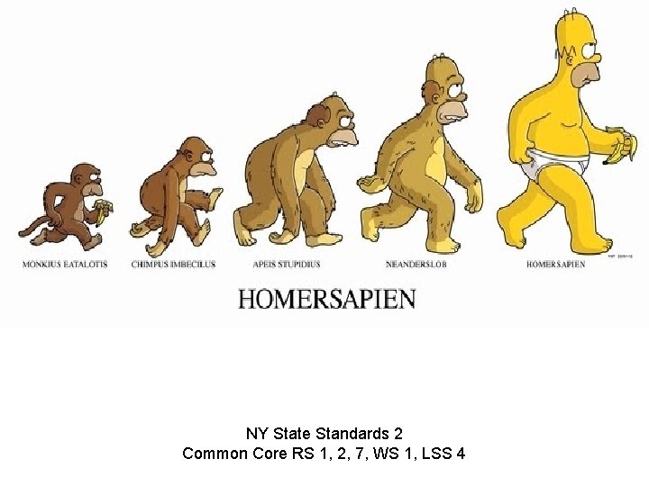 NY State Standards 2 Common Core RS 1, 2, 7, WS 1, LSS 4 NY State Standards 2 Common Core RS 1, 2, 7, WS 1, LSS 4
