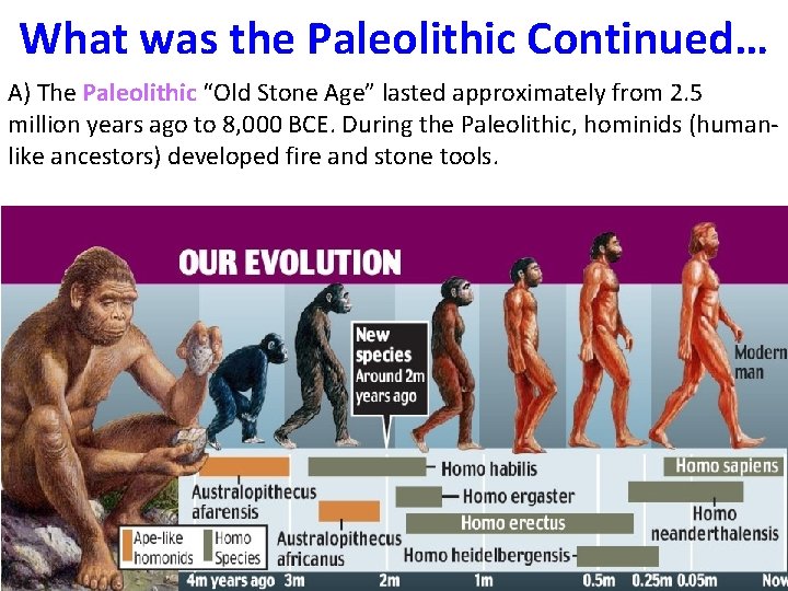 What was the Paleolithic Continued… A) The Paleolithic “Old Stone Age” lasted approximately from What was the Paleolithic Continued… A) The Paleolithic “Old Stone Age” lasted approximately from