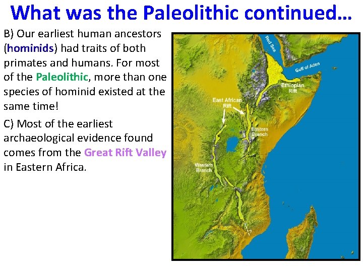 What was the Paleolithic continued… B) Our earliest human ancestors (hominids) had traits of What was the Paleolithic continued… B) Our earliest human ancestors (hominids) had traits of