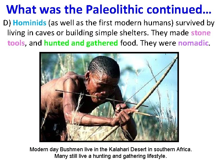 Aim What Makes Us Human Do Now What