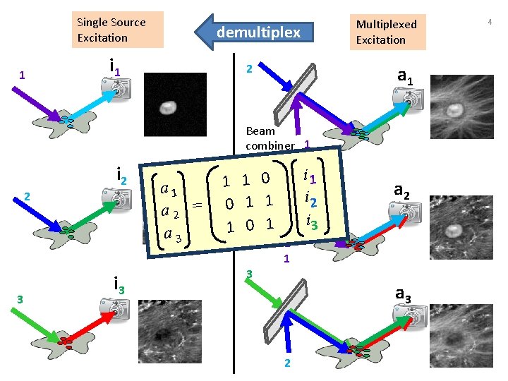 Single Source Excitation 1 Multiplexed Excitation demultiplex i 1 2 a 1 Beam combiner