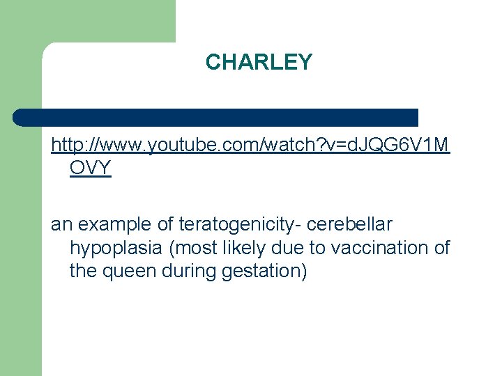 CHARLEY http: //www. youtube. com/watch? v=d. JQG 6 V 1 M OVY an example