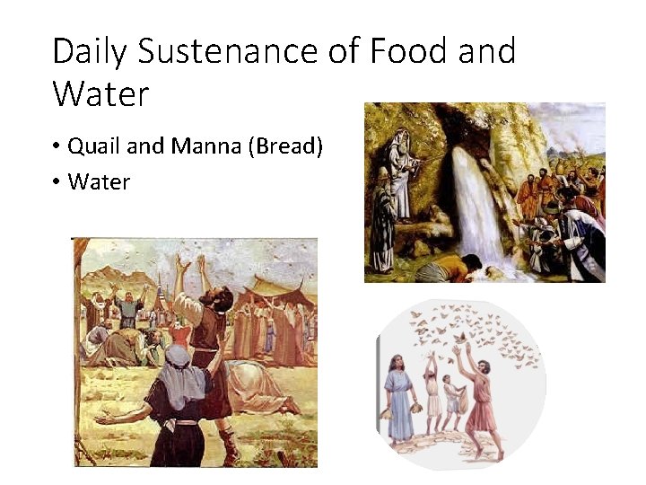 Daily Sustenance of Food and Water • Quail and Manna (Bread) • Water Daily Sustenance of Food and Water • Quail and Manna (Bread) • Water