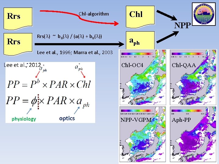 Chl-algorithm Rrs Chl NPP Rrs( ) ~ bb( ) / (a( ) + bb(