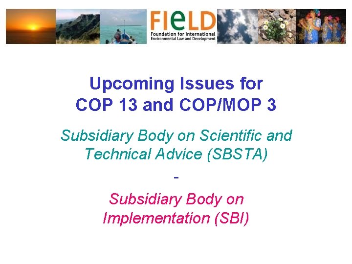 Upcoming Issues for COP 13 and COP/MOP 3 Subsidiary Body on Scientific and Technical
