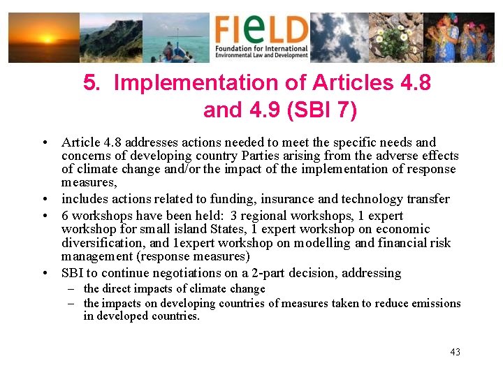 5. Implementation of Articles 4. 8 and 4. 9 (SBI 7) • Article 4.