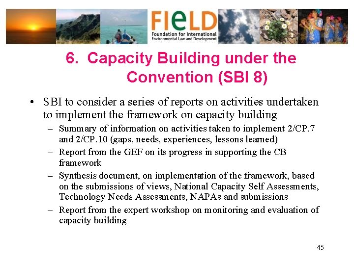 6. Capacity Building under the Convention (SBI 8) • SBI to consider a series