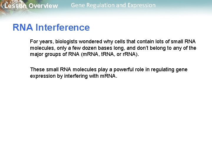 Lesson Overview Gene Regulation and Expression RNA Interference For years, biologists wondered why cells