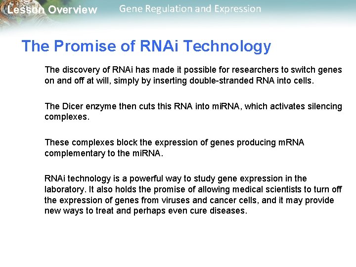 Lesson Overview Gene Regulation and Expression The Promise of RNAi Technology The discovery of