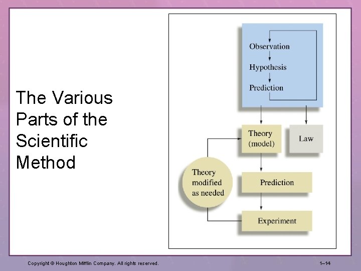 The Various Parts of the Scientific Method Copyright © Houghton Mifflin Company. All rights