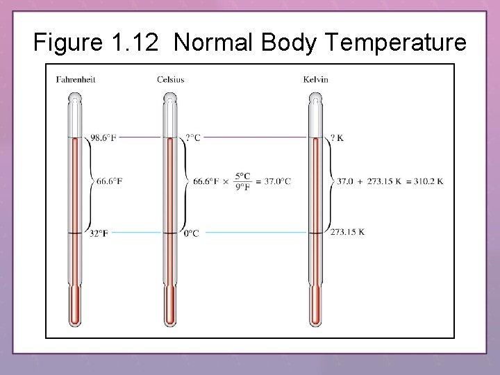 Figure 1. 12 Normal Body Temperature 