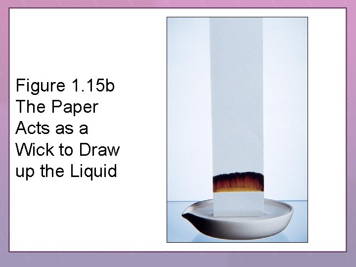 Figure 1. 15 b The Paper Acts as a Wick to Draw up the
