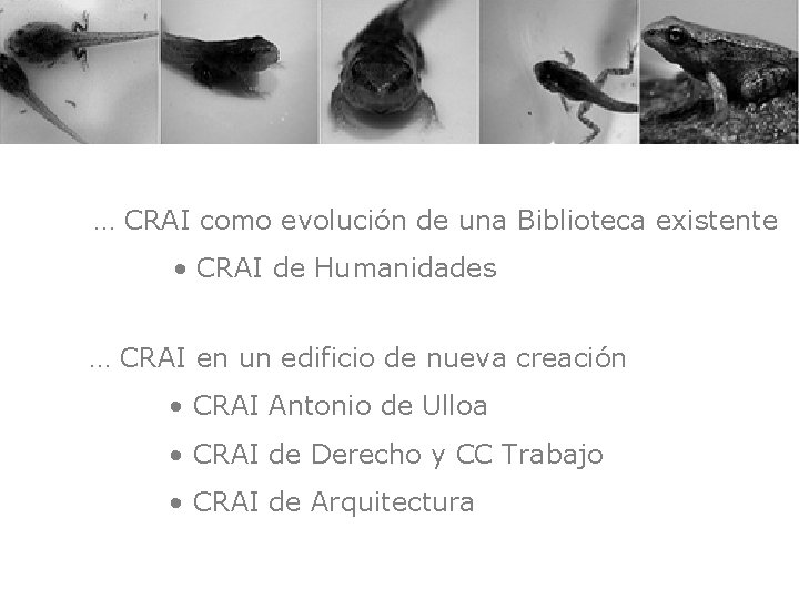 … CRAI como evolución de una Biblioteca existente • CRAI de Humanidades … CRAI