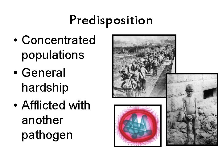 Predisposition • Concentrated populations • General hardship • Afflicted with another pathogen 