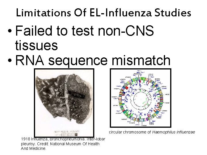 Limitations Of EL-Influenza Studies • Failed to test non-CNS tissues • RNA sequence mismatch