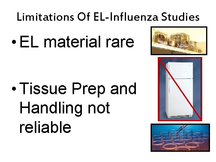 Limitations Of EL-Influenza Studies • EL material rare • Tissue Prep and Handling not