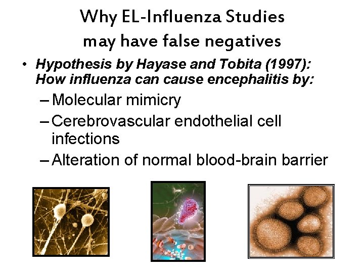 Why EL-Influenza Studies may have false negatives • Hypothesis by Hayase and Tobita (1997):