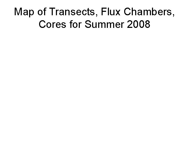 Map of Transects, Flux Chambers, Cores for Summer 2008 