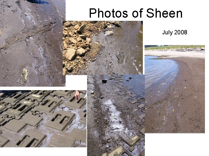 Photos of Sheen July 2008 