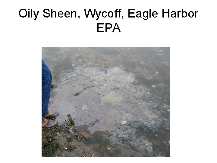 Oily Sheen, Wycoff, Eagle Harbor EPA 