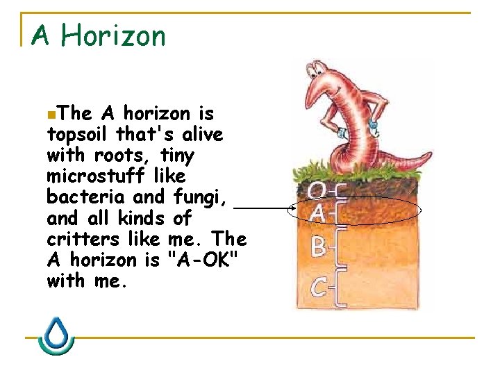 A Horizon n. The A horizon is topsoil that's alive with roots, tiny microstuff