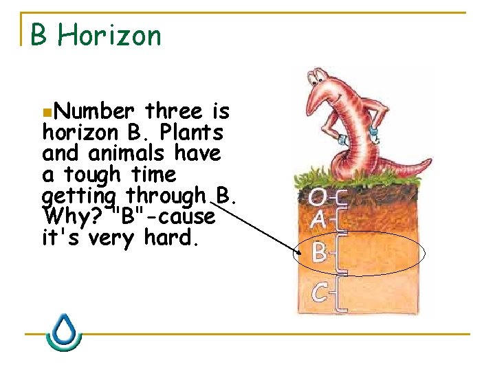 B Horizon n. Number three is horizon B. Plants and animals have a tough