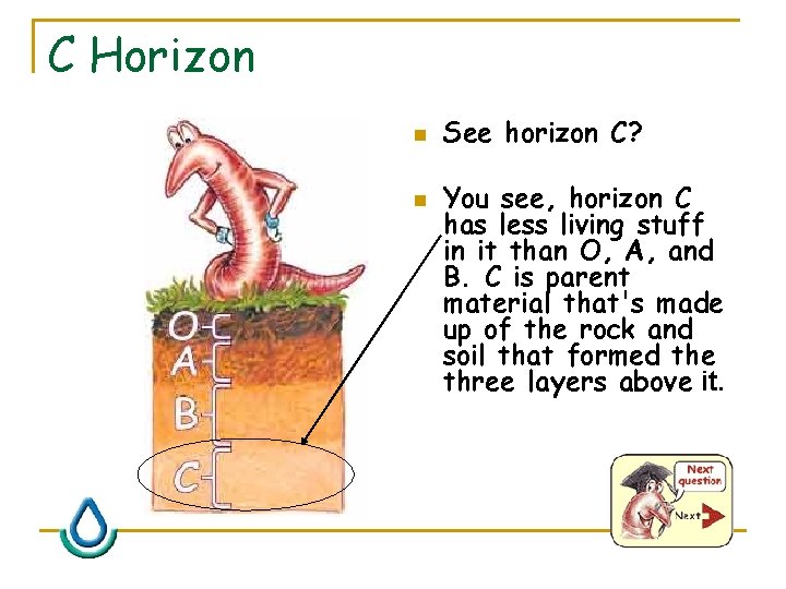 C Horizon n n See horizon C? You see, horizon C has less living