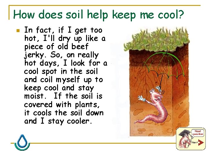 How does soil help keep me cool? n In fact, if I get too