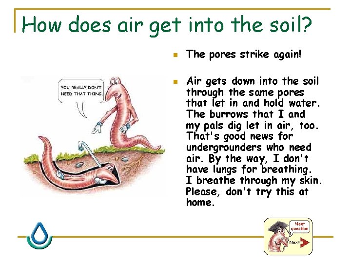 How does air get into the soil? n n The pores strike again! Air
