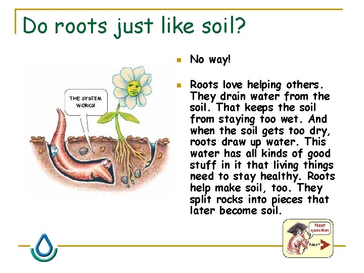 Do roots just like soil? n n No way! Roots love helping others. They