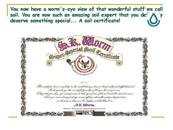 You now have a worm's-eye view of that wonderful stuff we call soil. You