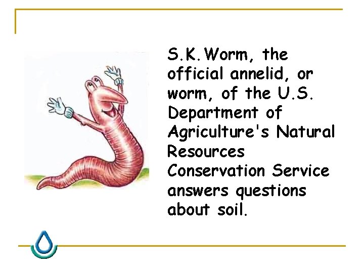 S. K. Worm, the official annelid, or worm, of the U. S. Department of