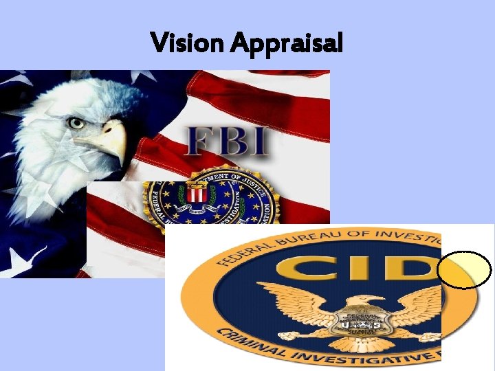 Vision Appraisal 