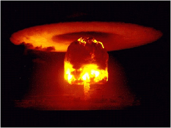 50 50