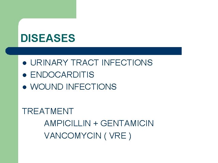 DISEASES l l l URINARY TRACT INFECTIONS ENDOCARDITIS WOUND INFECTIONS TREATMENT AMPICILLIN + GENTAMICIN