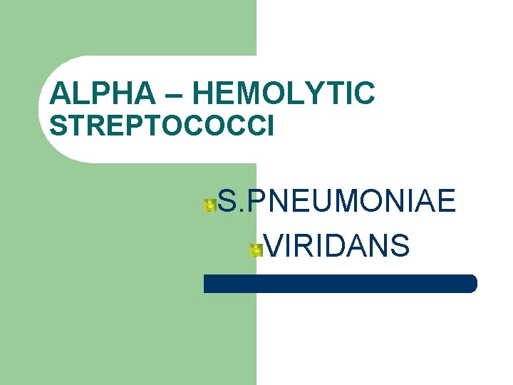 ALPHA – HEMOLYTIC STREPTOCOCCI S. PNEUMONIAE VIRIDANS 