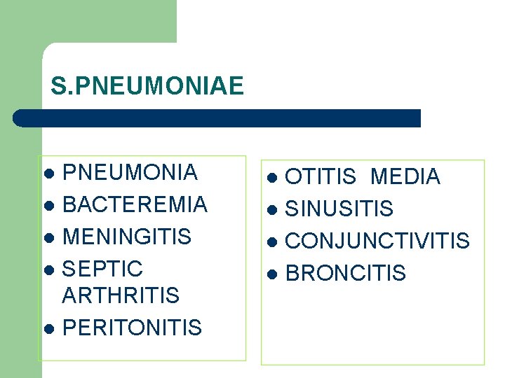 S. PNEUMONIAE PNEUMONIA l BACTEREMIA l MENINGITIS l SEPTIC ARTHRITIS l PERITONITIS l OTITIS