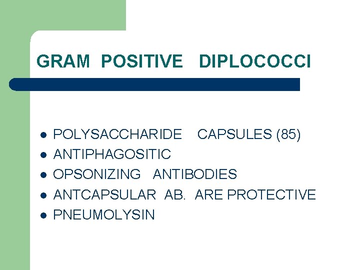 GRAM POSITIVE DIPLOCOCCI l l l POLYSACCHARIDE CAPSULES (85) ANTIPHAGOSITIC OPSONIZING ANTIBODIES ANTCAPSULAR AB.