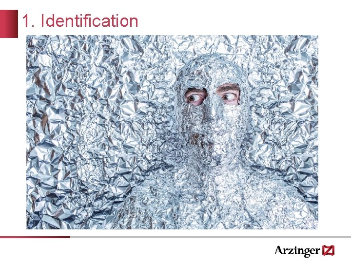 1. Identification 