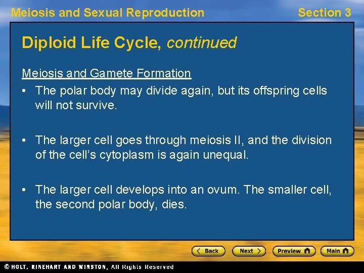 Meiosis and Sexual Reproduction Section 3 Diploid Life Cycle, continued Meiosis and Gamete Formation