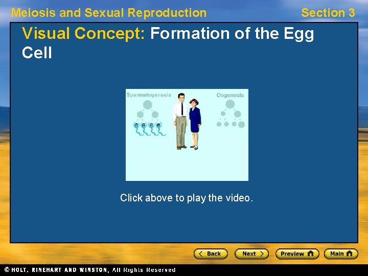 Meiosis and Sexual Reproduction Section 3 Visual Concept: Formation of the Egg Cell Click