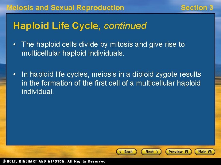 Meiosis and Sexual Reproduction Section 3 Haploid Life Cycle, continued • The haploid cells