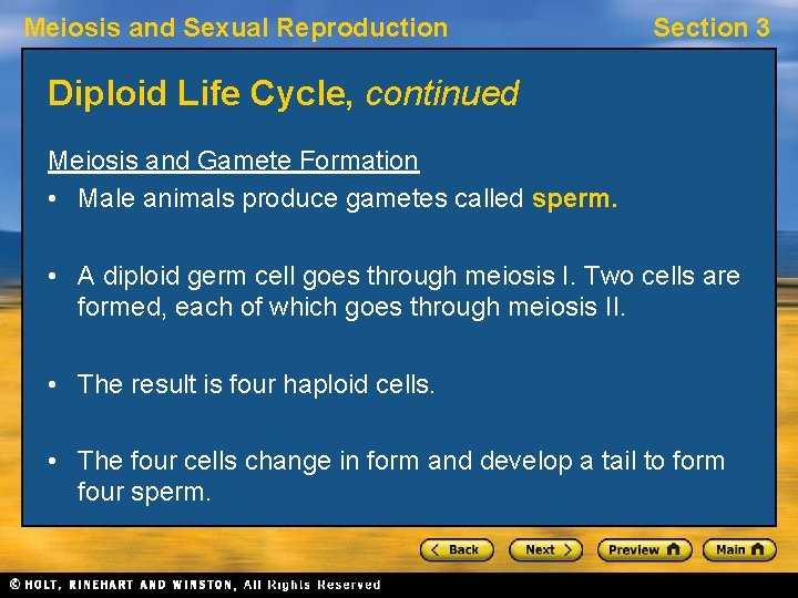 Meiosis and Sexual Reproduction Section 3 Diploid Life Cycle, continued Meiosis and Gamete Formation