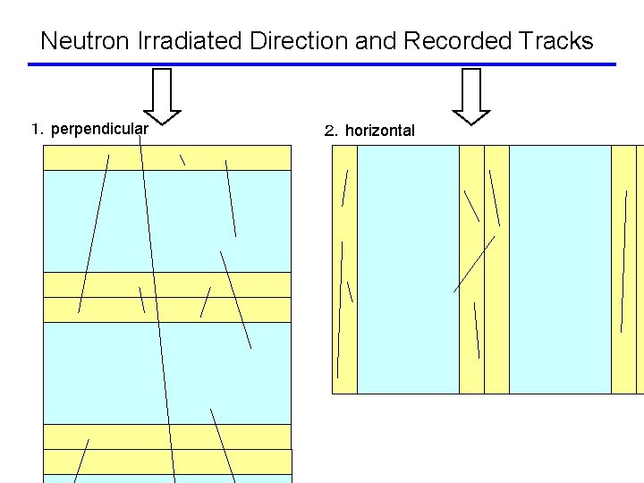 Neutron Irradiated Direction and Recorded Tracks １．perpendicular ２．horizontal 