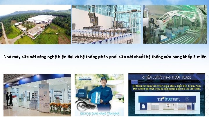 Nhà máy sữa với công nghệ hiện đại và hệ thống phân phối sữa